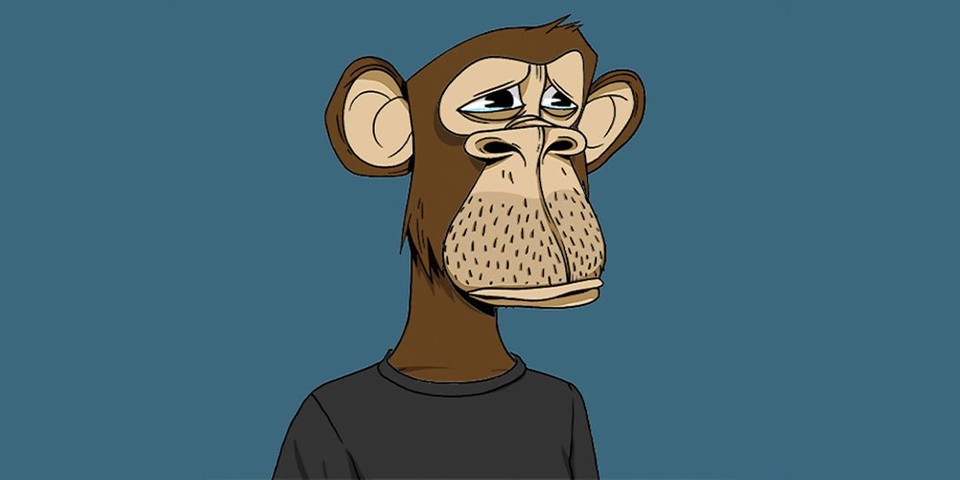 Bored Ape NFTs – Typical NFT Monkey